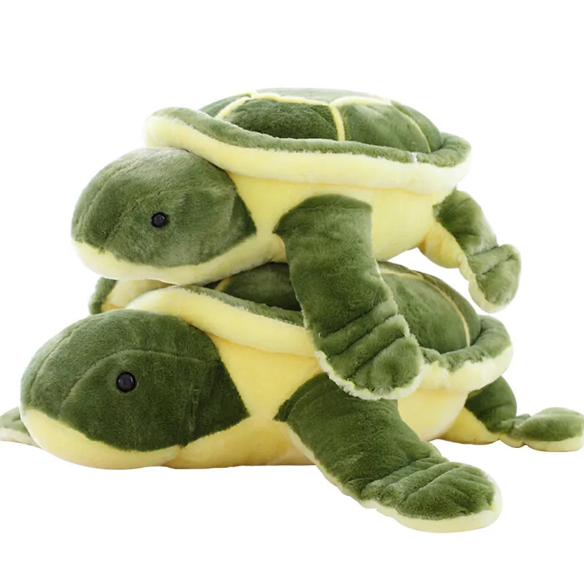 Flippy- The Tortoise Plush Toy