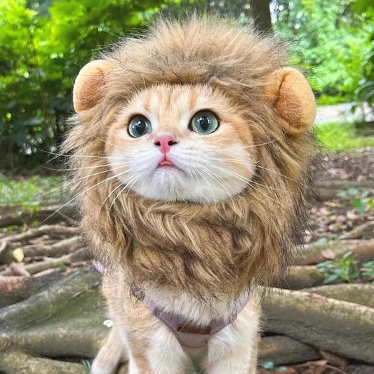 Cat Lion Mane Cap