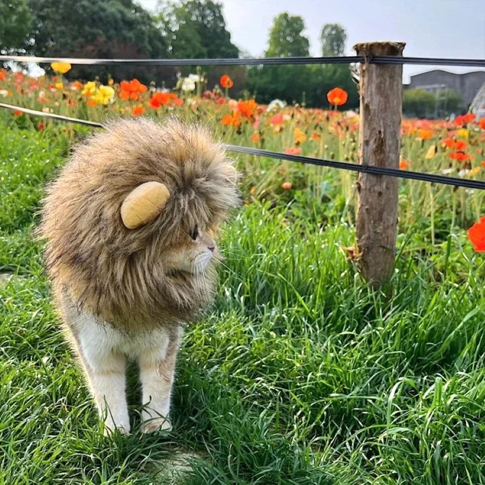 Cat Lion Mane Cap