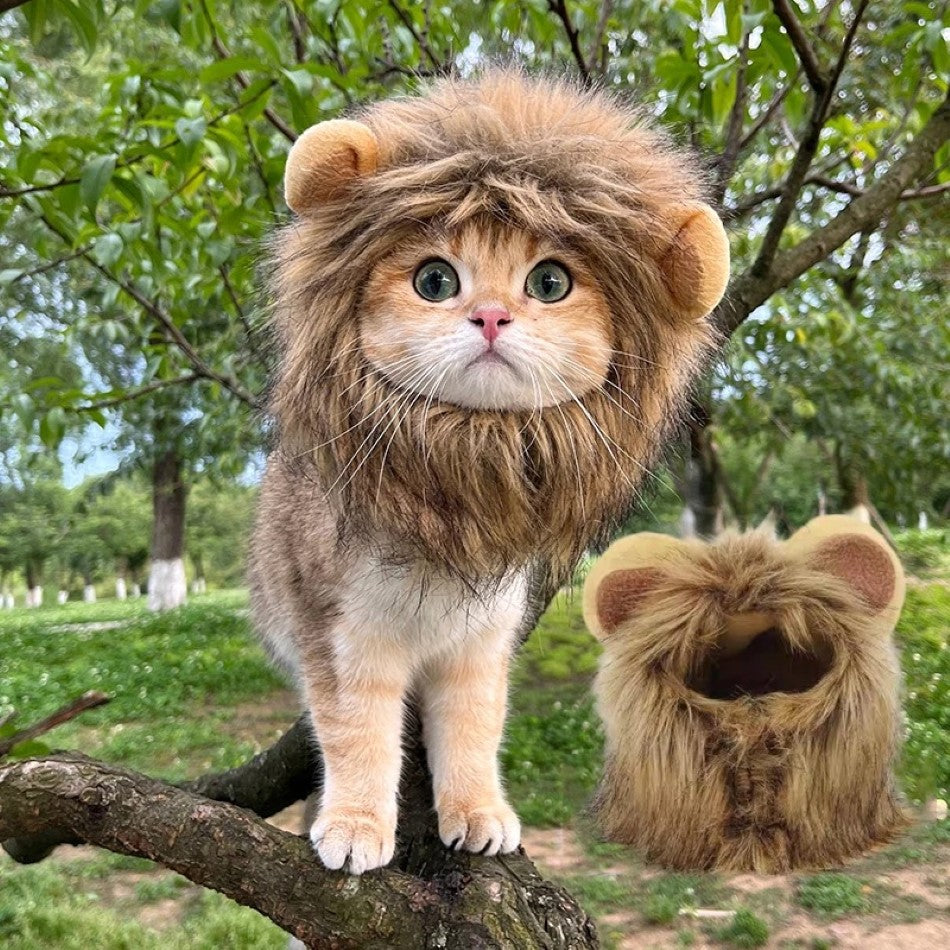 Cat Lion Mane Cap