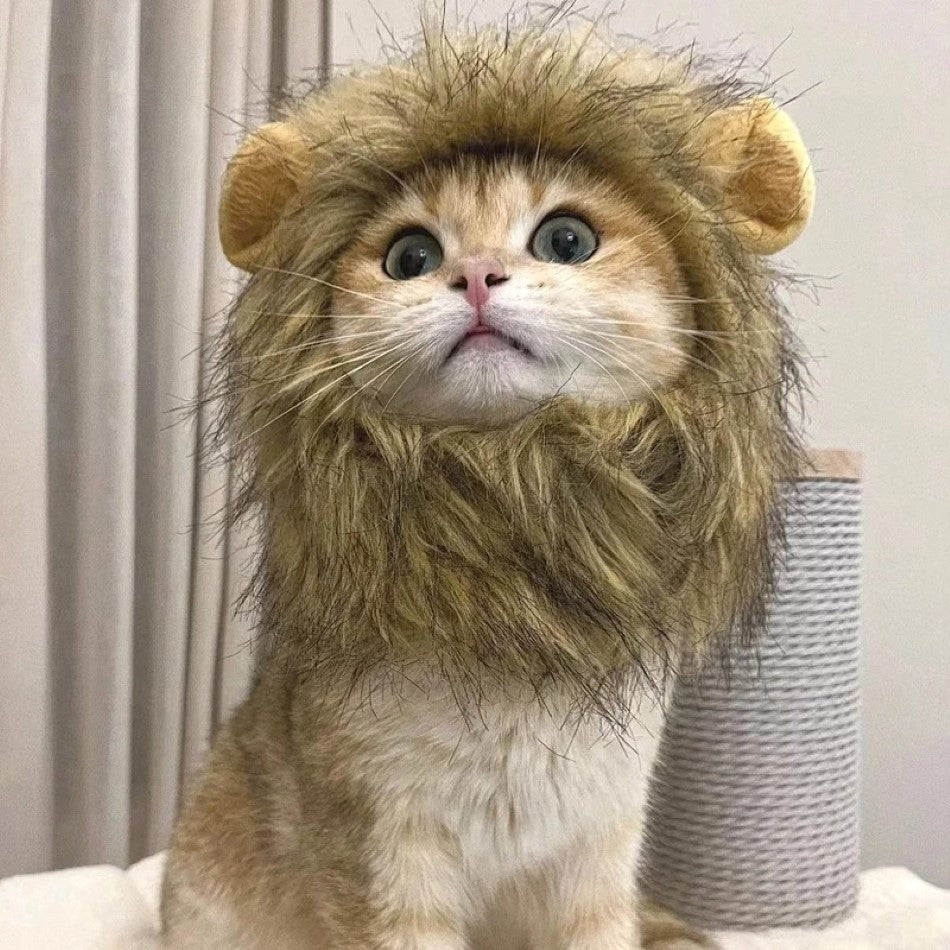 Cat Lion Mane Cap