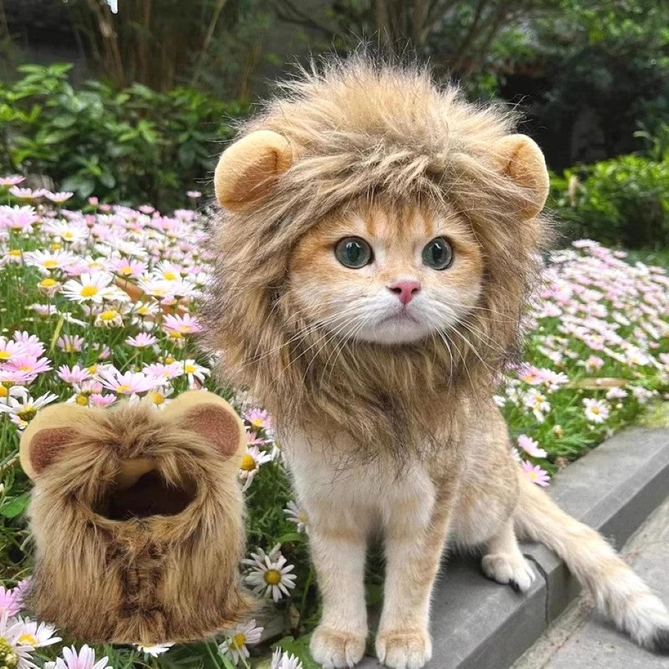 Cat Lion Mane Cap