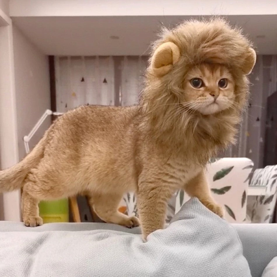 Cat Lion Mane Cap