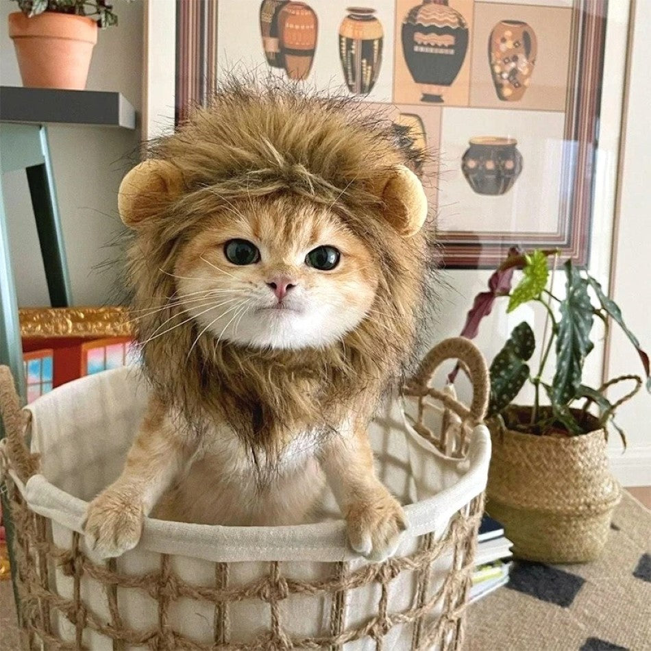 Cat Lion Mane Cap