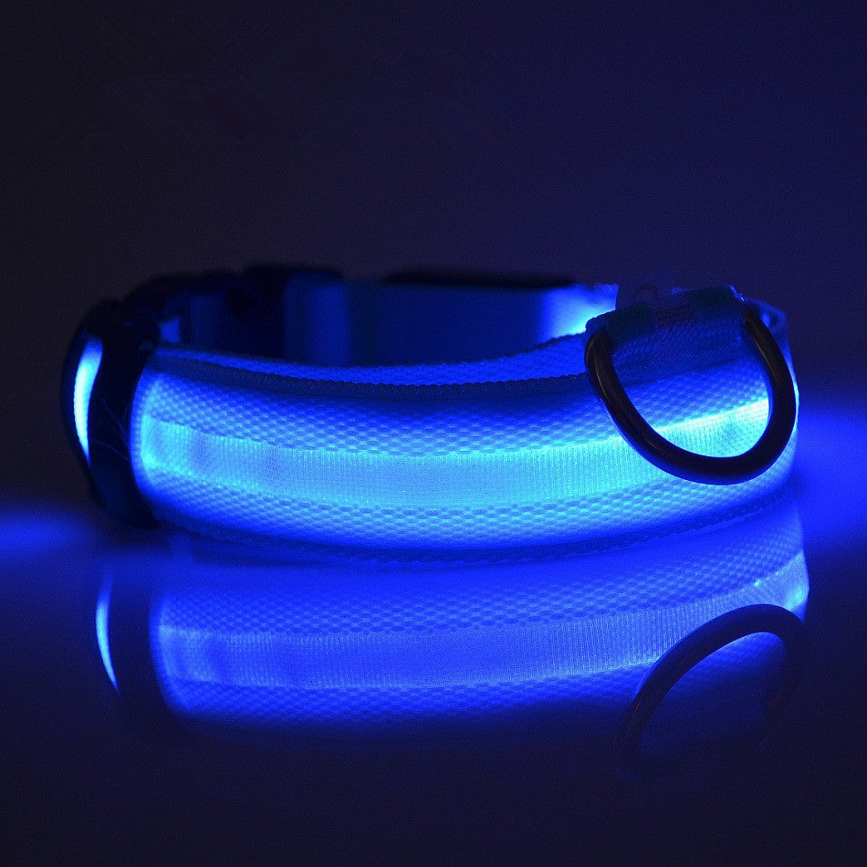 Safety LED Collar