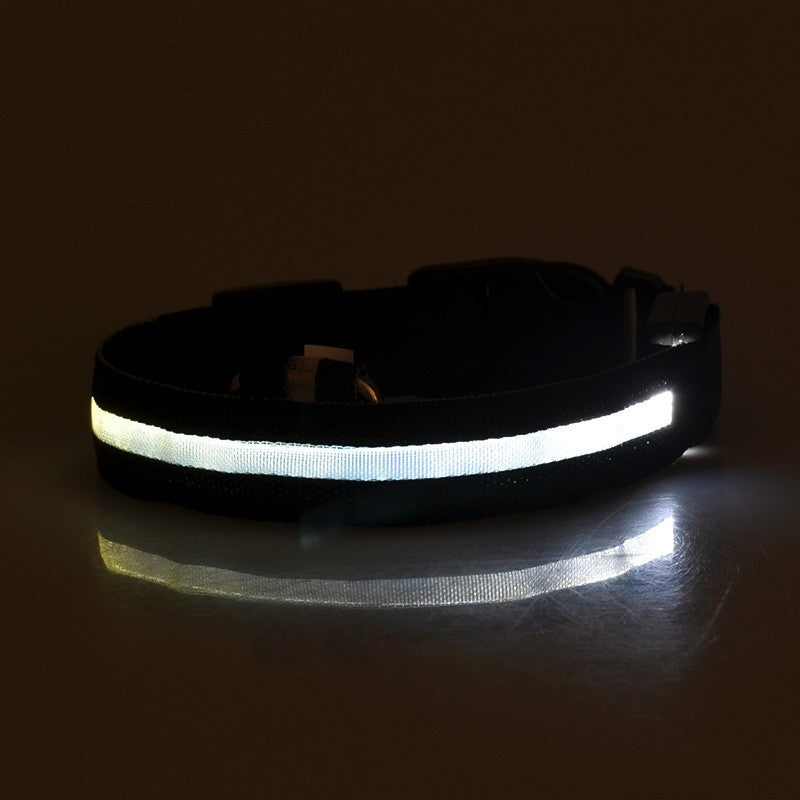 Safety LED Collar