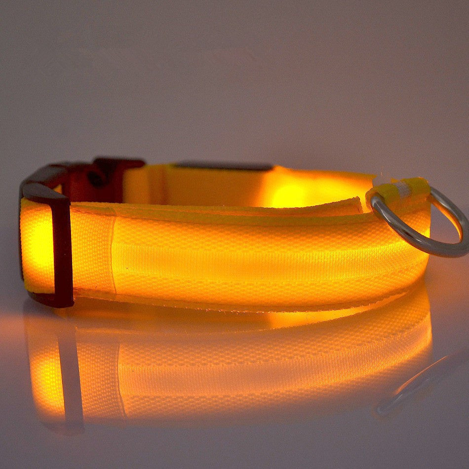 Safety LED Collar