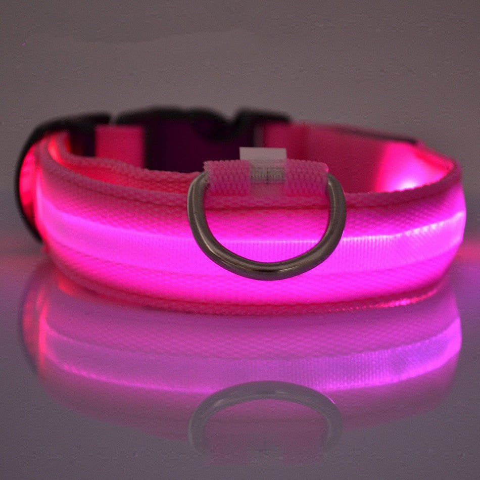 Safety LED Collar