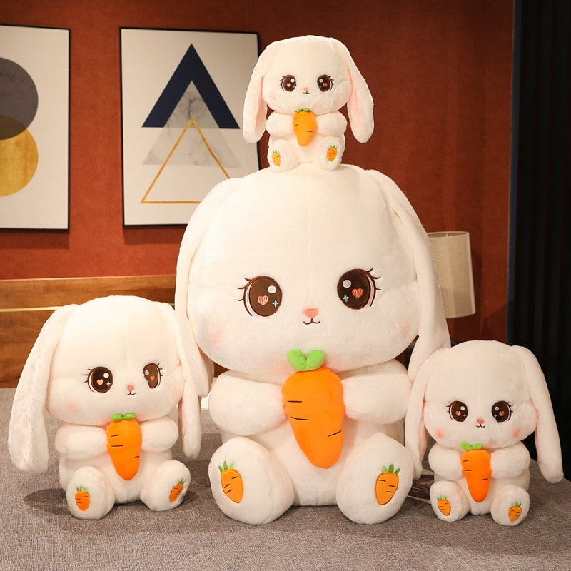 Fluffy - The Rabbit Plush Toy