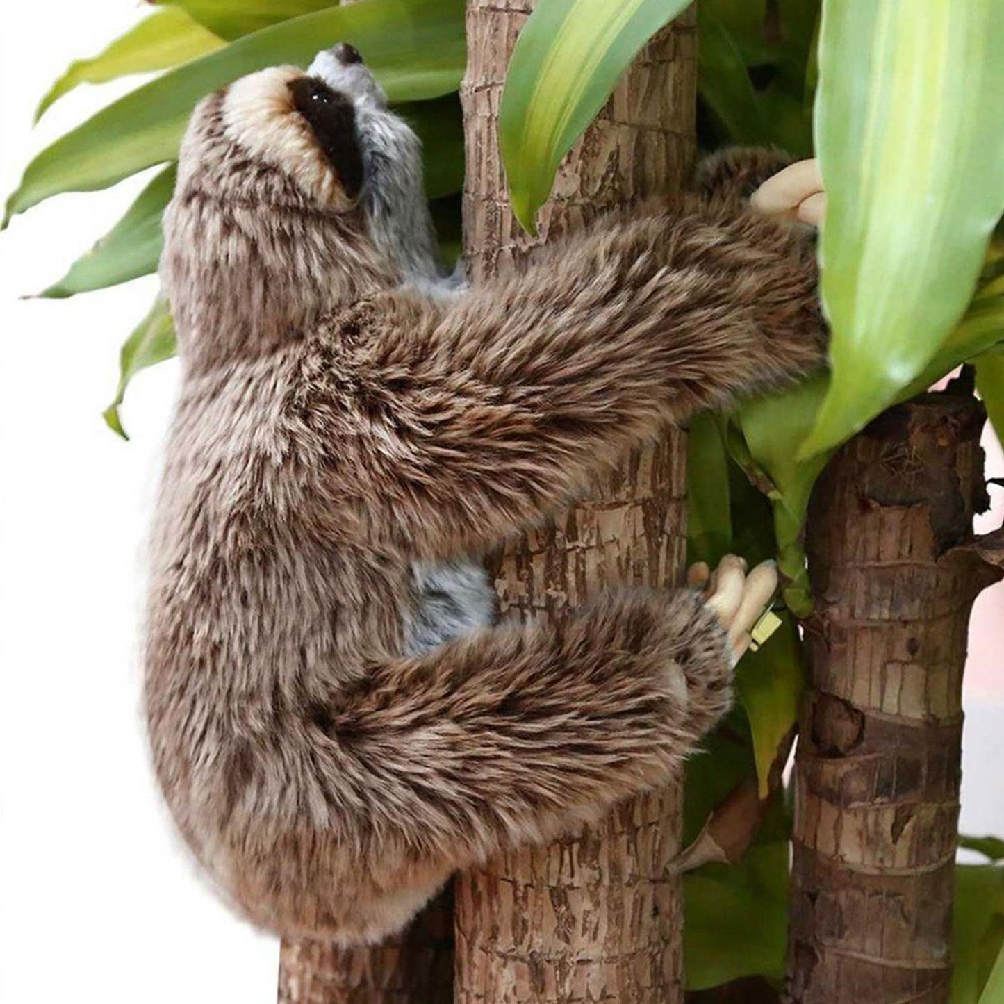 Tuna - The Sloth Plush Toy