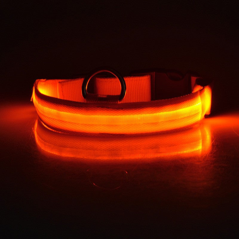 Safety LED Collar